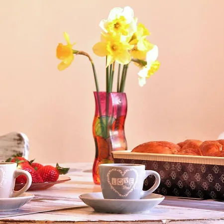 Romantic Vintage 